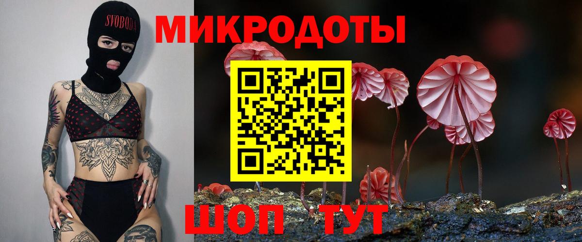 Лабинск  Псилоцибиновые грибы Psilocybe  Вход с VPN 